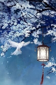 Đế Quân